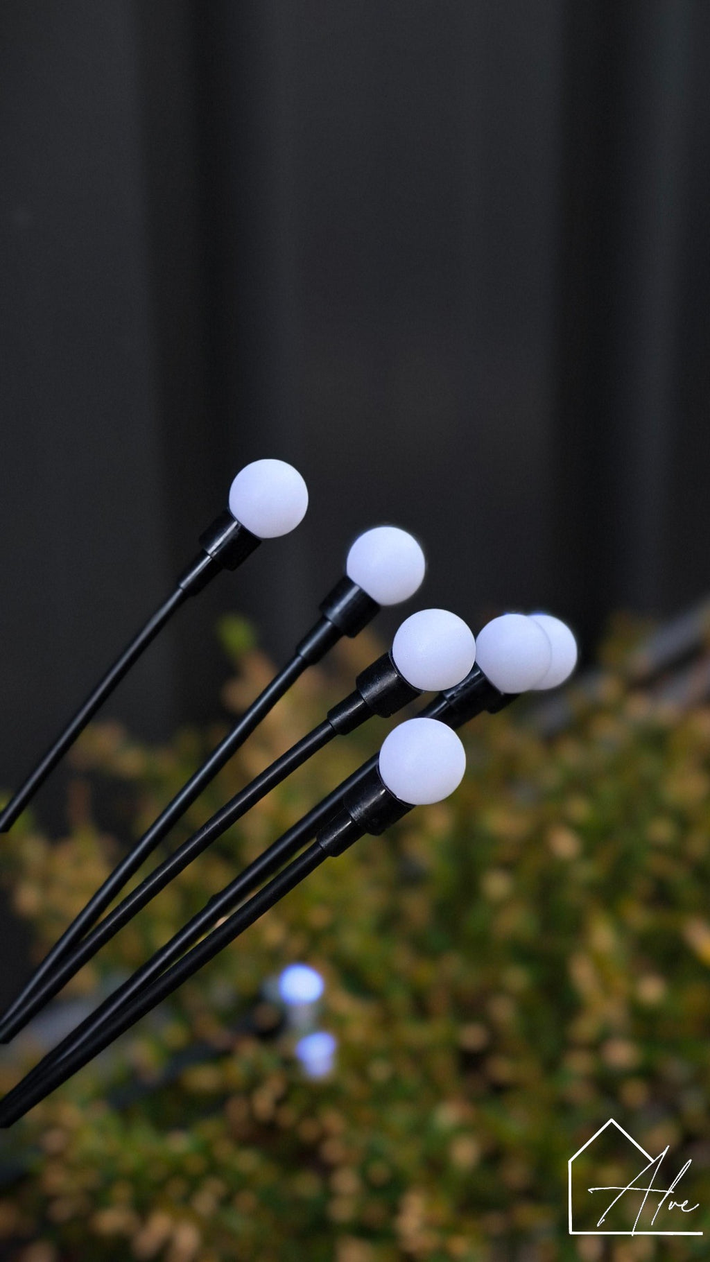 Solar firefly lights at dusk – magical glow for night garden