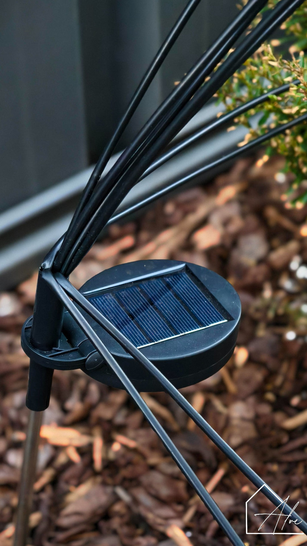 Firefly solar garden lights in flower bed – flexible positioning