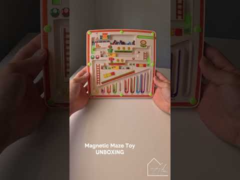 Magnetic Bead Maze